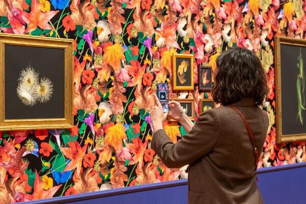 Mills Art Museum Gift Fund image number null